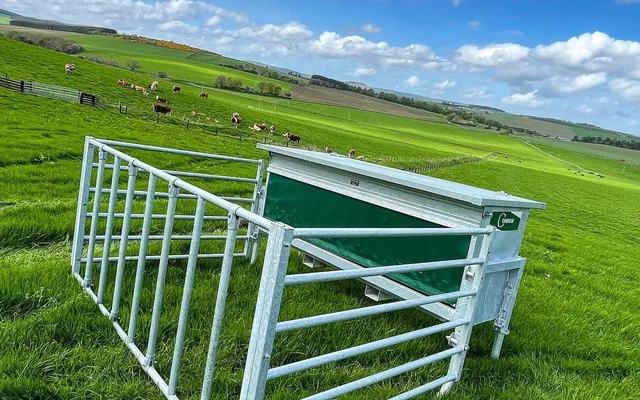 A stainless steel Condon Calf Creep Feeder