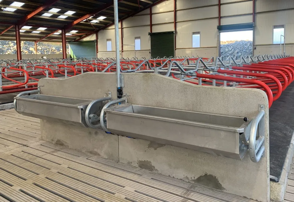 Two large tip-over drinkers mounted along a concrete wall in a cubicle shed