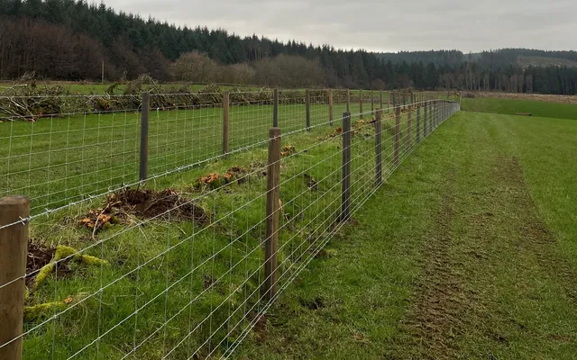 A new post-and-wire stock fence running along a field edge
