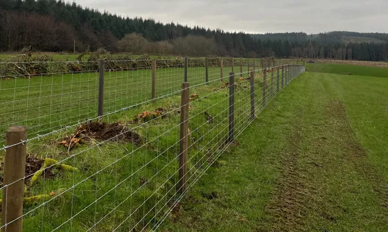 A new post-and-wire stock fence running along a field edge