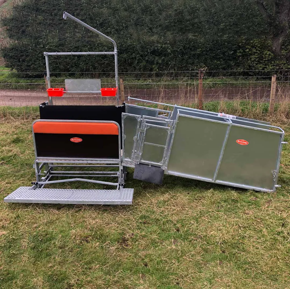 A galvanised Ritchie Combi Clamp sheep handling clamp with lead-up ramp