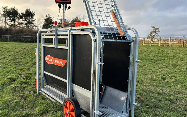 A Ritchie Draft Pro sheep weigher and drafter with a guillotine entrance gate