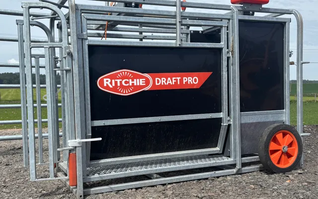A Ritchie Draft Pro sheep weigher and drafter with a swing entrance gate