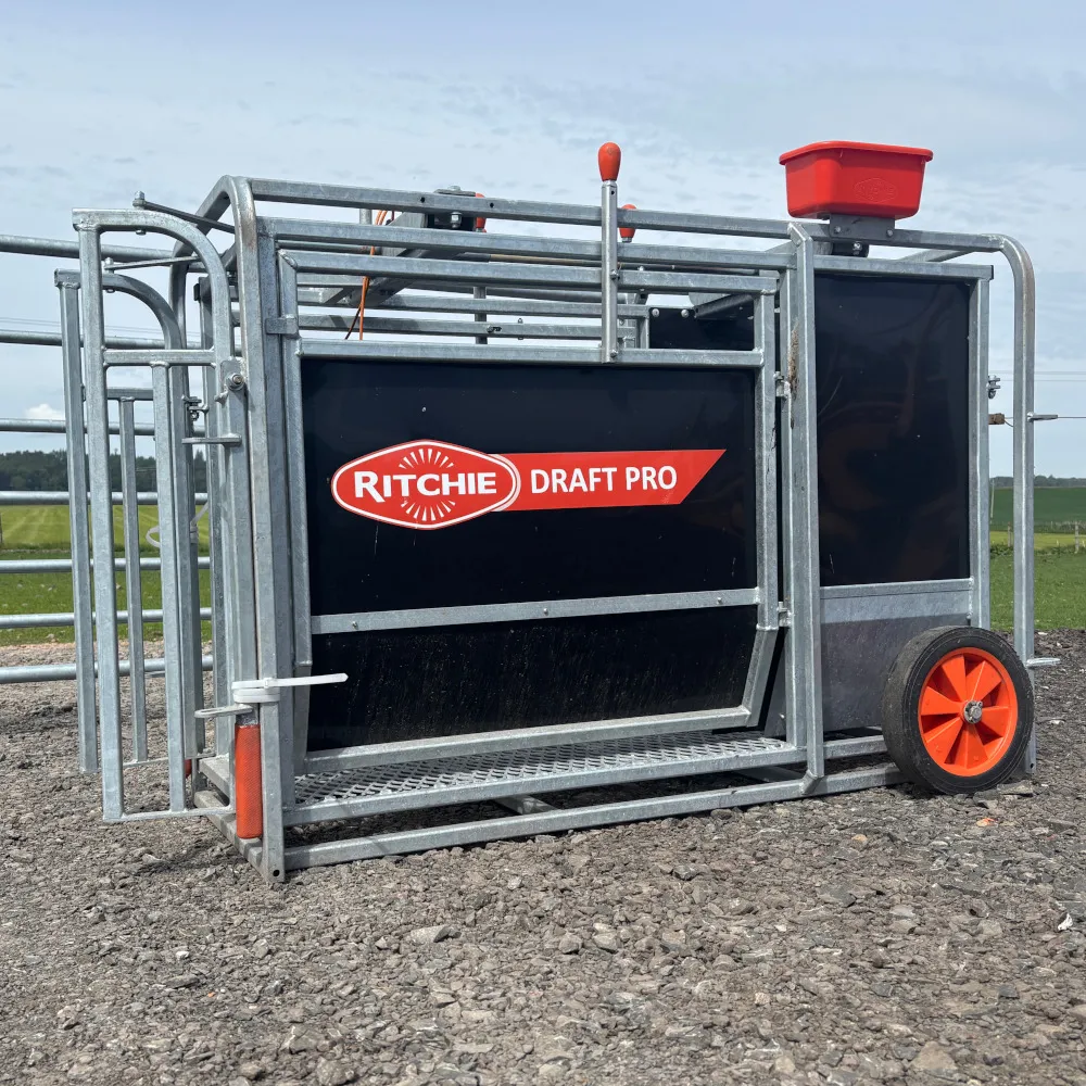 A Ritchie Draft Pro sheep weigher and drafter with a swing entrance gate