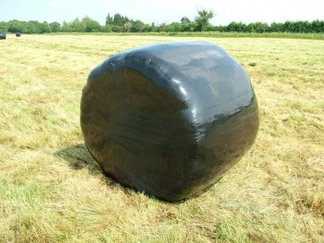 A black-wrapped round silage bale in a mown field
