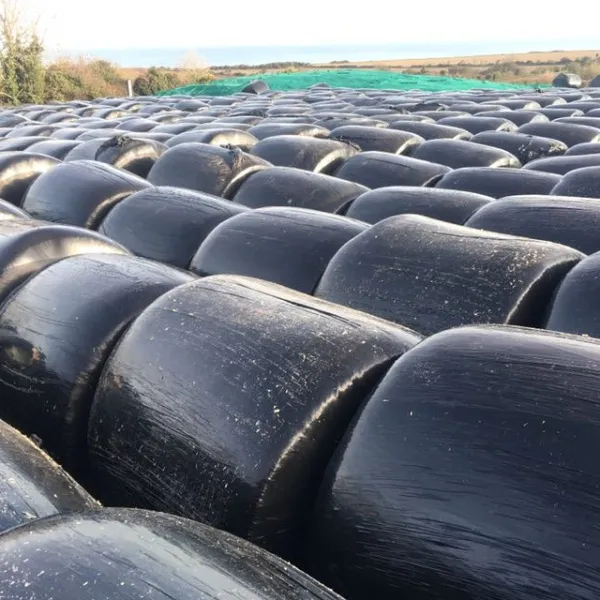 Rows of round bales wrapped in black Silawrap film, stacked in the corner of a field